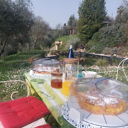 Ferienwohnung L'Aquila E L'Ulivo Montepulciano Stazione Exterior foto